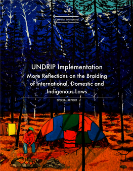 Undrip Implementation: of International, More Reflections on the Braiding Laws and Indigenous Domestic