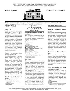 Indoor Air Quality Info Sheet/Mold in My Home: What Do I Do?
