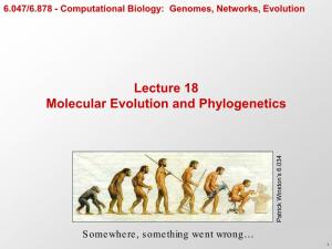 Molecular Evolution, Tree Building, Phylogenetic Inference