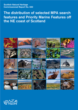 The Distribution of Selected MPA Search Features and Priority Marine Features Off the NE Coast of Scotland