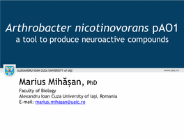 Arthrobacter Nicotinovorans Pao1 a Tool to Produce Neuroactive Compounds