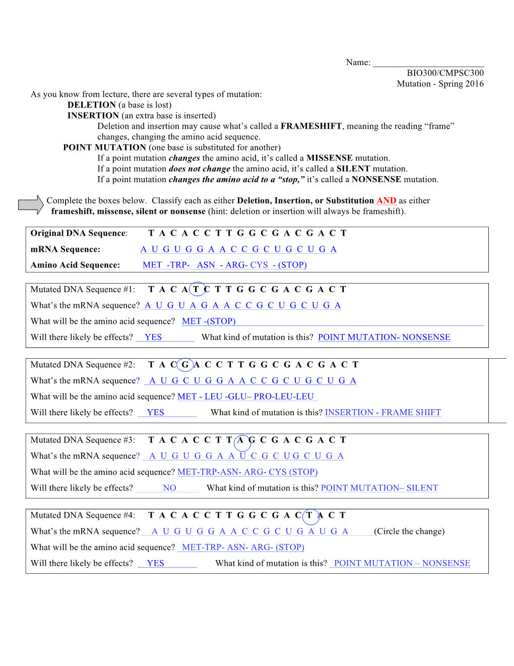 DNA Mutation Worksheetkey