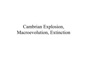 Cambrian Explosion, Macroevolution, Extinction Recap