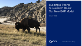Building a Strong Sustainable Oasis: Our New E&P Model