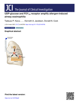 UDP-Glucose and P2Y14 Receptor Amplify Allergen-Induced Airway Eosinophilia