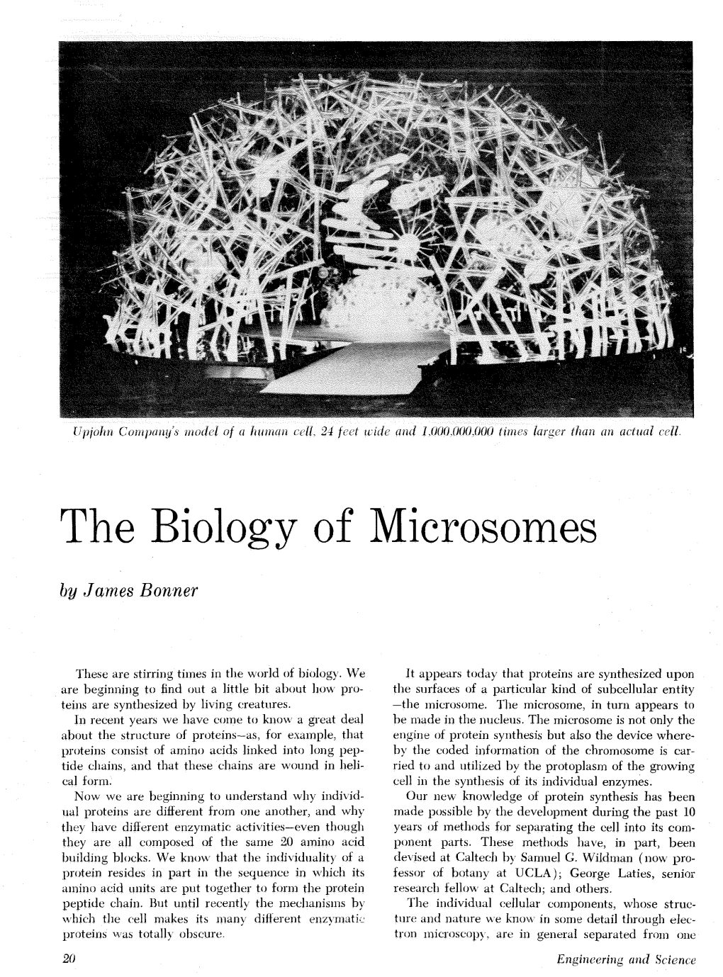 The Biology of Microsomes