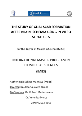 The Study of Glial Scar Formation After Brain Ischemia Using in Vitro Strategies