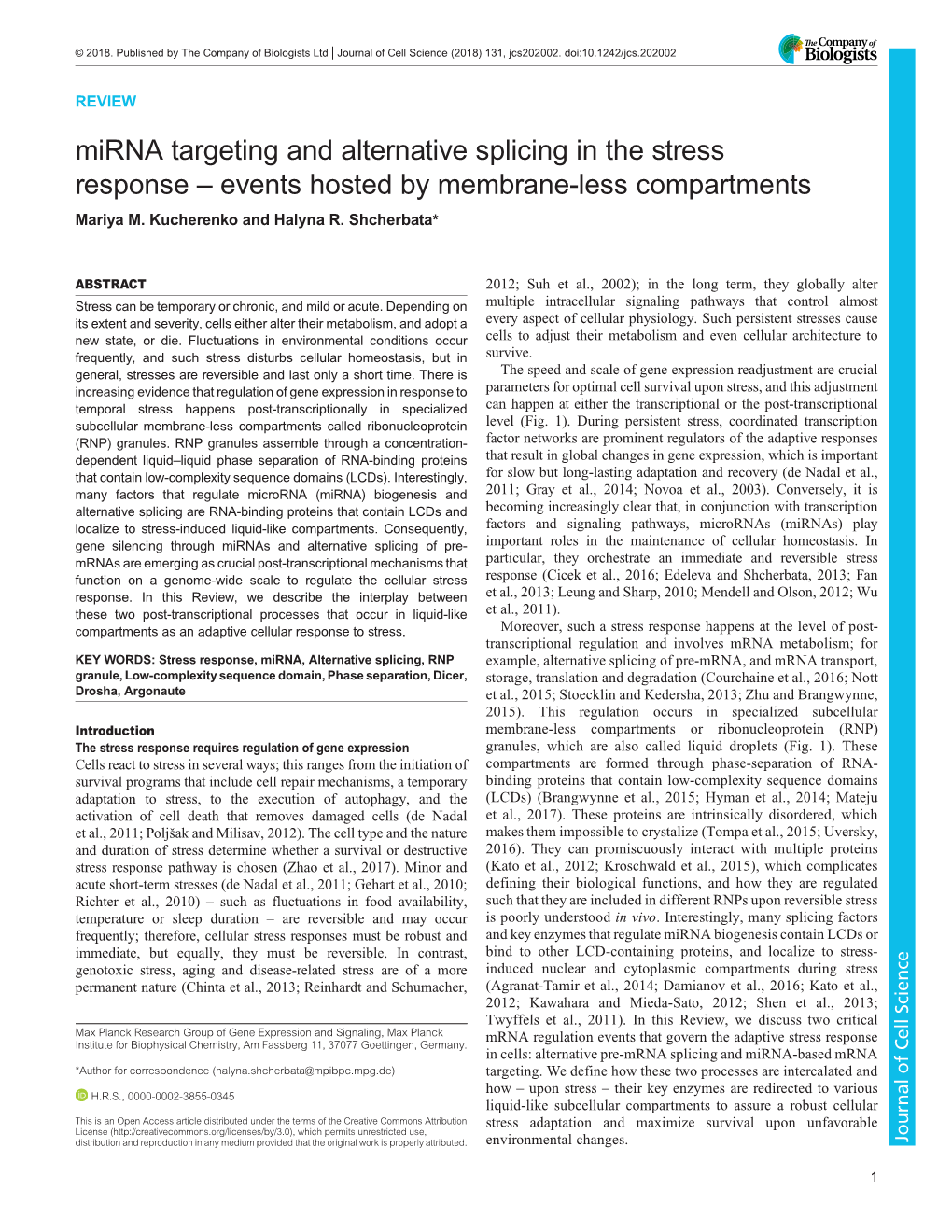 Mirna Targeting and Alternative Splicing in the Stress Response – Events Hosted by Membrane-Less Compartments Mariya M