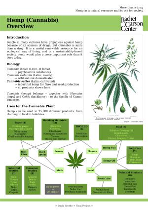 Hemp (Cannabis) Overview