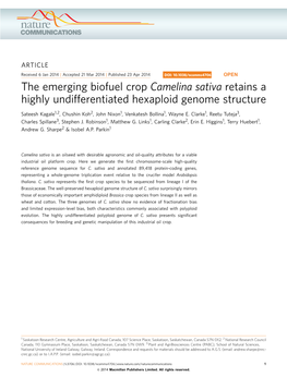 The Emerging Biofuel Crop Camelina Sativa Retains a Highly Undifferentiated Hexaploid Genome Structure