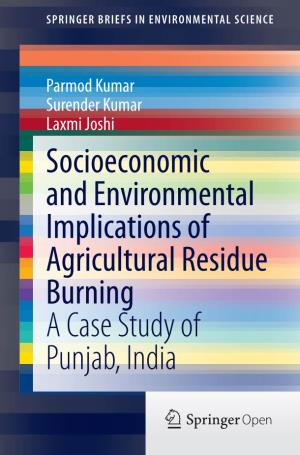 Socioeconomic and Environmental Implications of Agricultural Residue