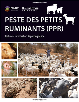 PESTE DES PETITS RUMINANTS (PPR) Technical Information Reporting Guide