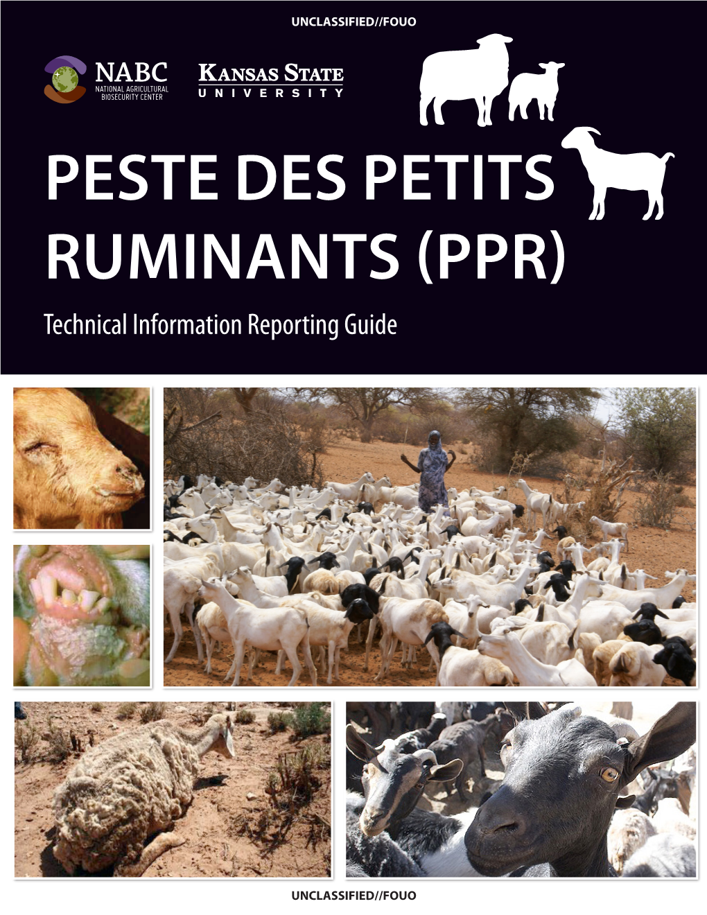 PESTE DES PETITS RUMINANTS (PPR) Technical Information Reporting Guide ...