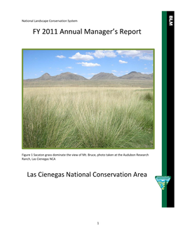 Las Cienegas National Conservation Area 2010 Managers Report