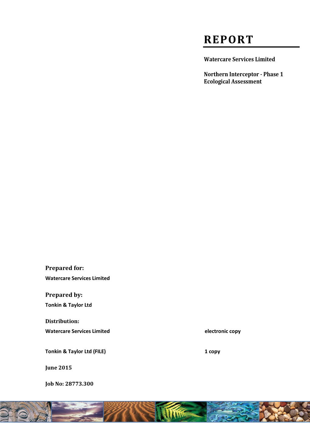 Technical Report I