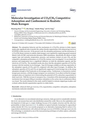 Molecular Investigation of CO2/CH4 Competitive Adsorption and Conﬁnement in Realistic Shale Kerogen