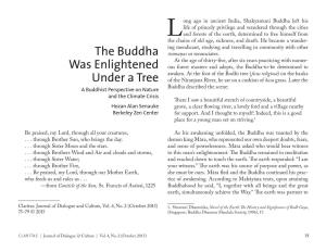 The Buddha Was Enlightened Under a Tree