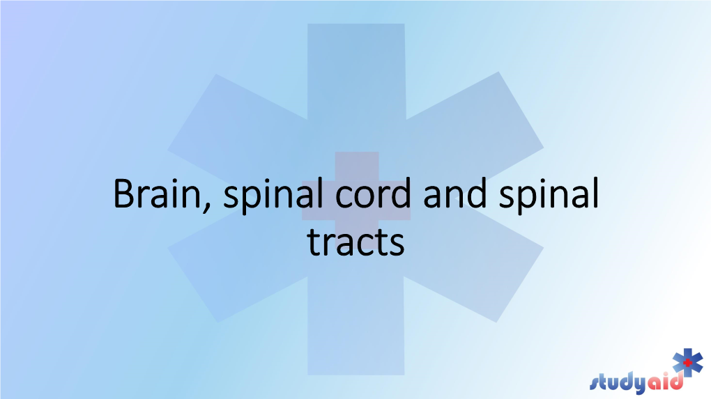 Brain, Spinal Cord and Spinal Tracts Definitions to Bring Home