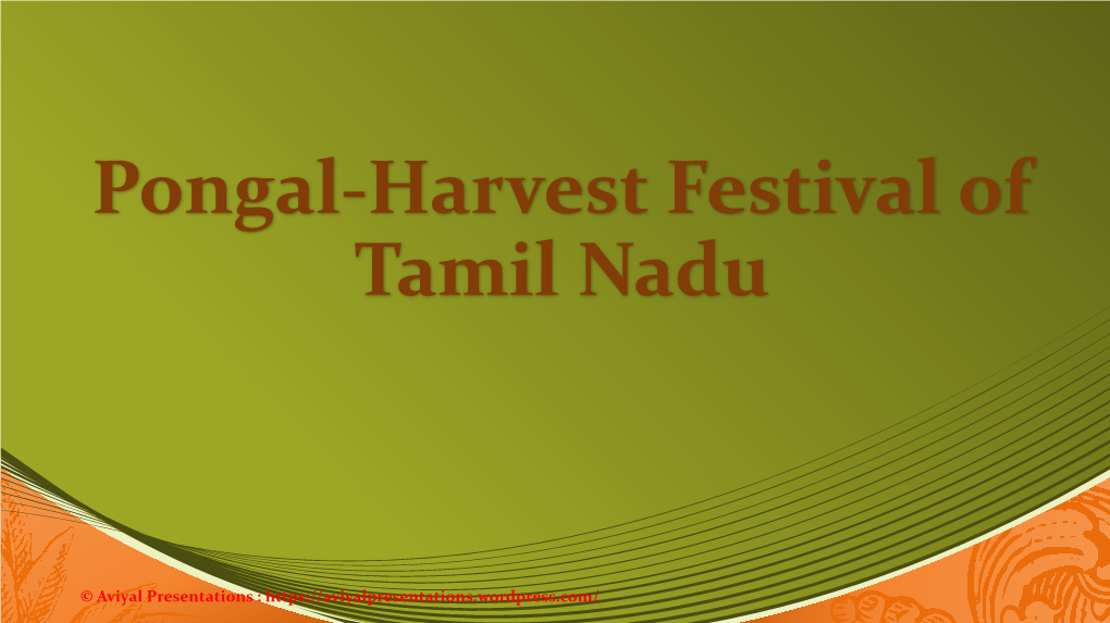 Pongal-Harvest Festival of Tamil Nadu