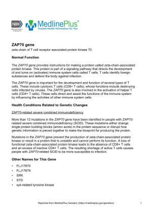 ZAP70 Gene Zeta Chain of T Cell Receptor Associated Protein Kinase 70