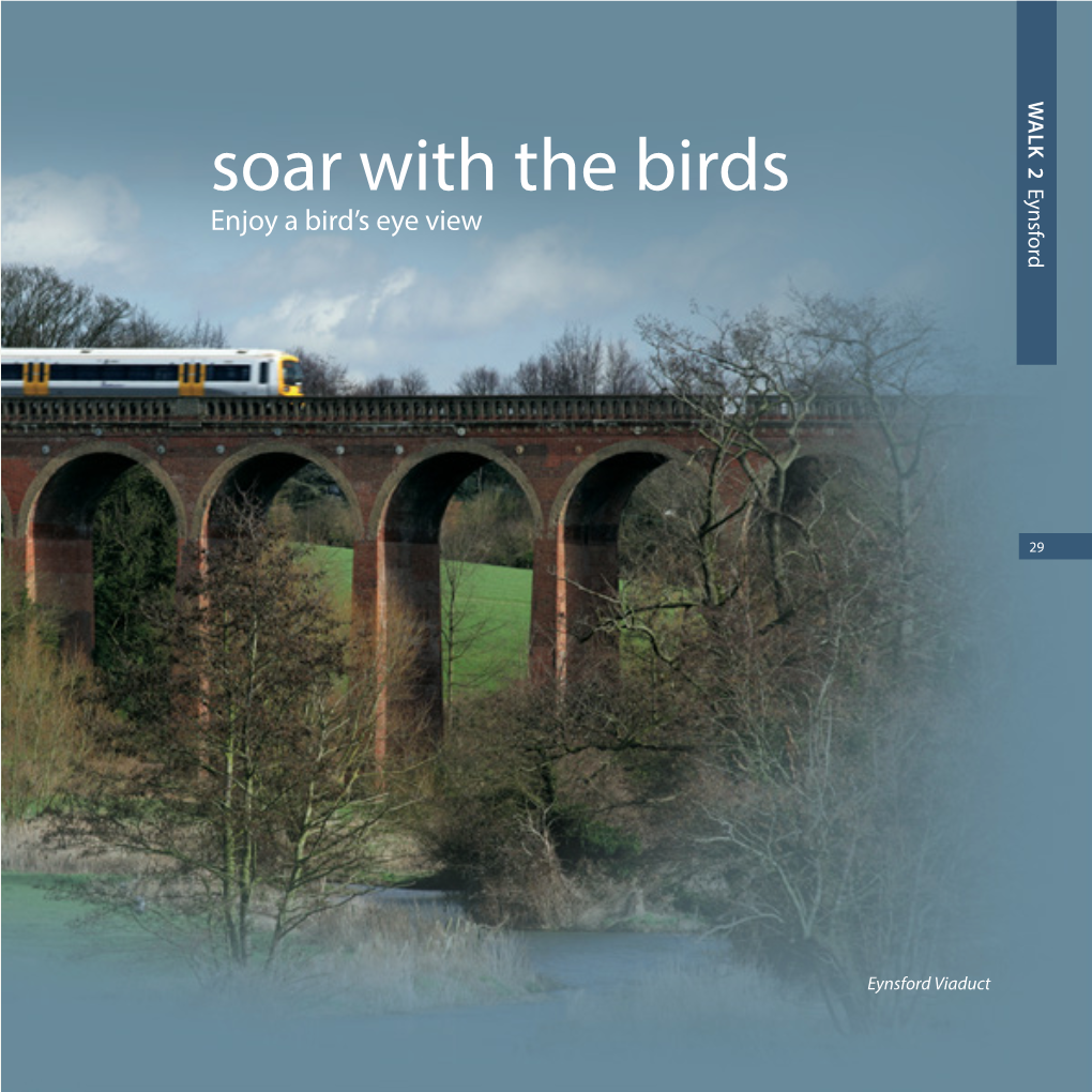 Soar with the Birds Eynsford Enjoy a Bird’S Eye View