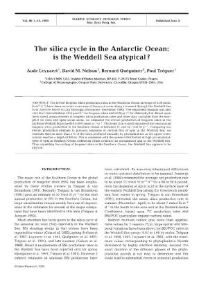 The Silica Cycle in the Antarctic Ocean: Is the Weddell Sea Atypical?