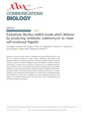 Bacillus Subtilis Evade Plant Defense by Producing Lantibiotic Subtilomycin to Mask Self-Produced ﬂagellin
