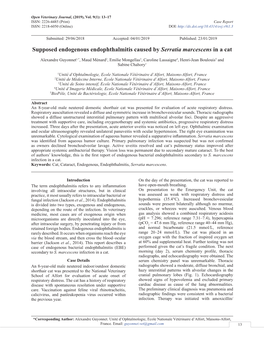 Supposed Endogenous Endophthalmitis Caused by Serratia Marcescens in a Cat