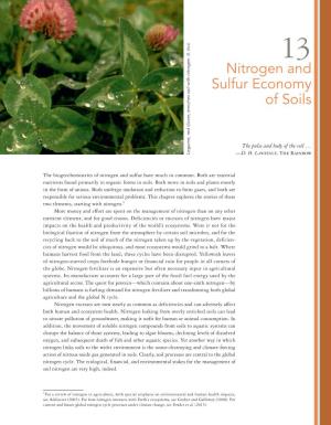 Nitrogen and Sulfur Economy of Soils