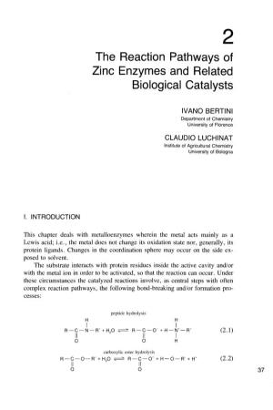 The Reaction Pathways of Zinc Enzymes and Related Biological Catalysts