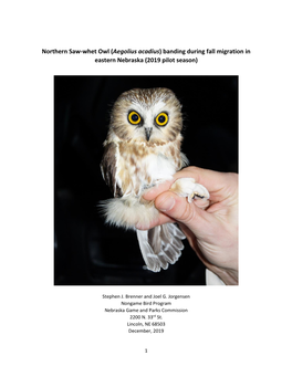 Northern Saw-Whet Owl (Aegolius Acadius) Banding During Fall Migration in Eastern Nebraska (2019 Pilot Season)