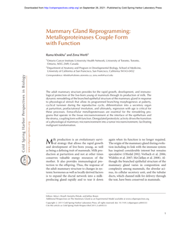 Mammary Gland Reprogramming: Metalloproteinases Couple Form with Function