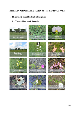Appendix A: Habitats & Flora of the Heritage Park