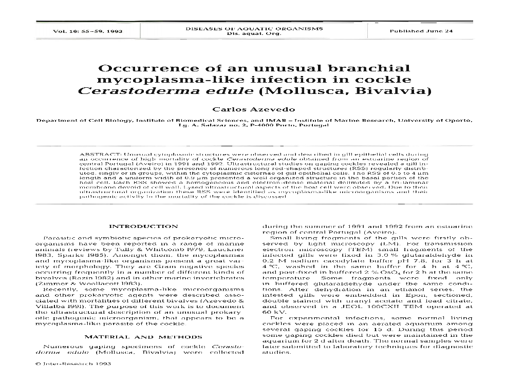 Occurrence of an Unusual Branchial Mycoplasma-Like Infection in Cockle Cerastoderma Edule (Mollusca, Bivalvia)