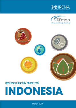 Renewable Energy Prospects: Indonesia, a Remap Analysis, International Renewable Energy Agency (IRENA), Abu Dhabi, WwwIrenaOrgRemap