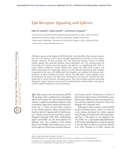 Eph Receptor Signaling and Ephrins