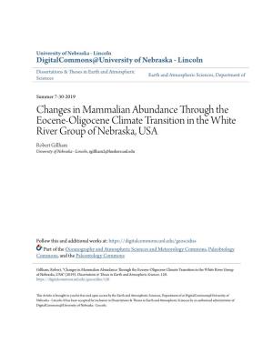 Changes in Mammalian Abundance Through the Eocene-Oligocene