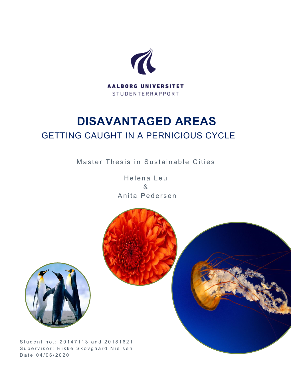 Disavantaged Areas