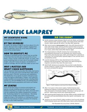 Pacific Lamprey My Scientific Name Did You Know? Entosphenus Tridentatus Zzpacific Lampreys Spawn Between March and July