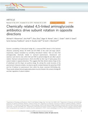 Chemically Related 4,5-Linked Aminoglycoside Antibiotics Drive Subunit Rotation in Opposite Directions