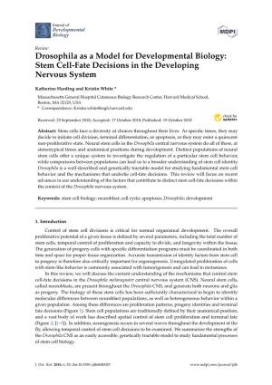 Drosophila As a Model for Developmental Biology: Stem Cell-Fate Decisions in the Developing Nervous System