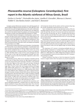 Phoracantha Recurva (Coleoptera: Cerambycidae): First Report in the Atlantic Rainforest of Minas Gerais, Brazil