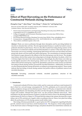 Effect of Plant Harvesting on the Performance of Constructed Wetlands During Summer