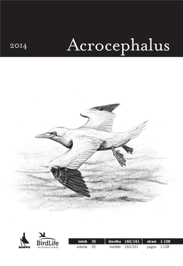 Acrocephalus