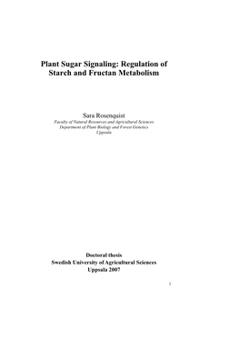 Plant Sugar Signaling: Regulation of Starch and Fructan Metabolism