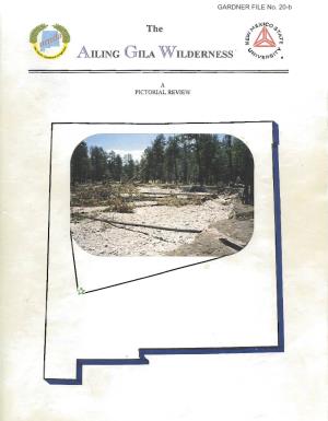 The AILING GILA WILDERNESS