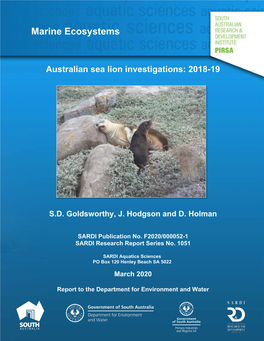 Australian Sea Lion Investigations: 2018-19