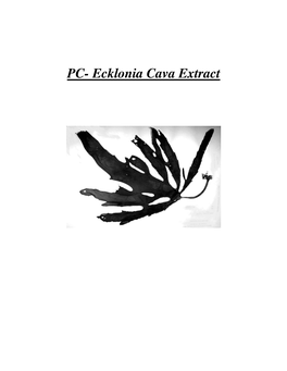 PC- Ecklonia Cava Extract