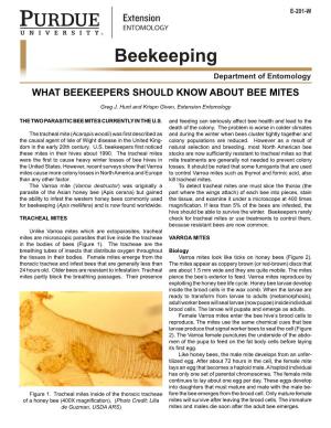 Beekeeping Department of Entomology WHAT BEEKEEPERS SHOULD KNOW ABOUT BEE MITES