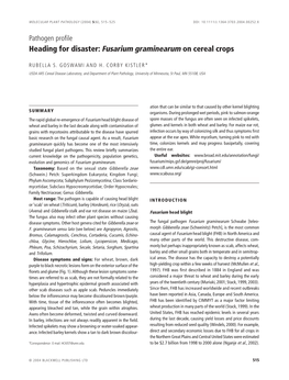 Heading for Disaster: Fusarium Graminearum on Cereal Crops